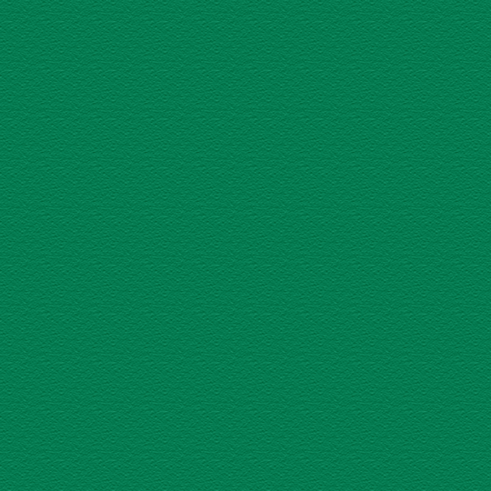 iPad PRO 13” (M4, 2024) LUXURIA VERONESE Green Textured Skin