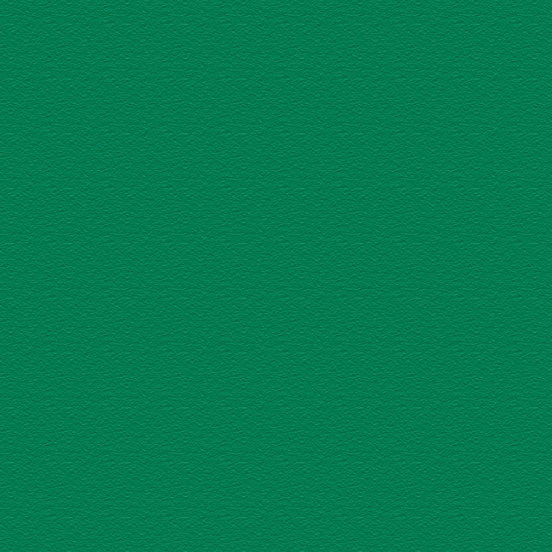 Galaxy Z Flip 8 LUXURIA VERONESE Green Textured Skin